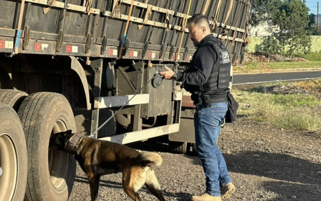 Opera√ß√£o FARO intensifica fiscaliza√ß√£o e combate ao crime no Oeste catarinense com apoio de c√£es policiais