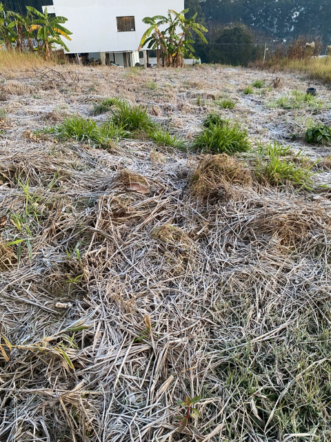 FOTOS: Geada cobre paisagens e transforma amanhecer em Maravilha nesta quarta-feira (24)