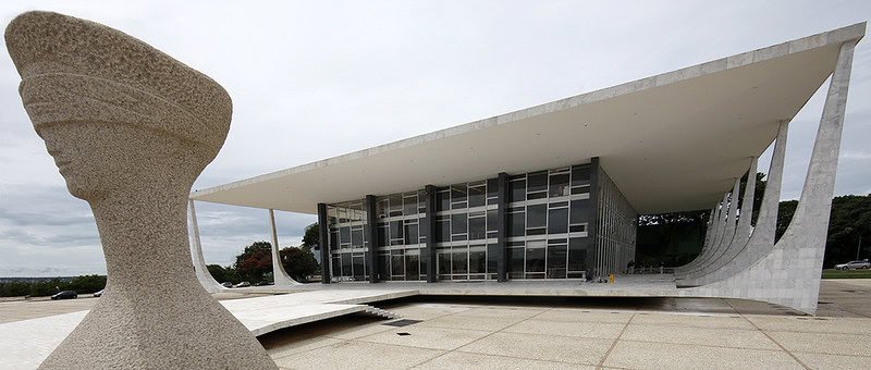 STF autoriza entidade de proteção animal a atuar em ação sobre caça de javalis em SC