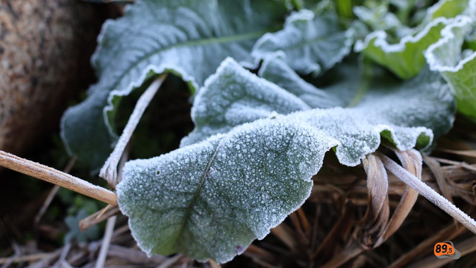 Massa de ar polar derruba temperaturas e Extremo Oeste registra marcas negativas