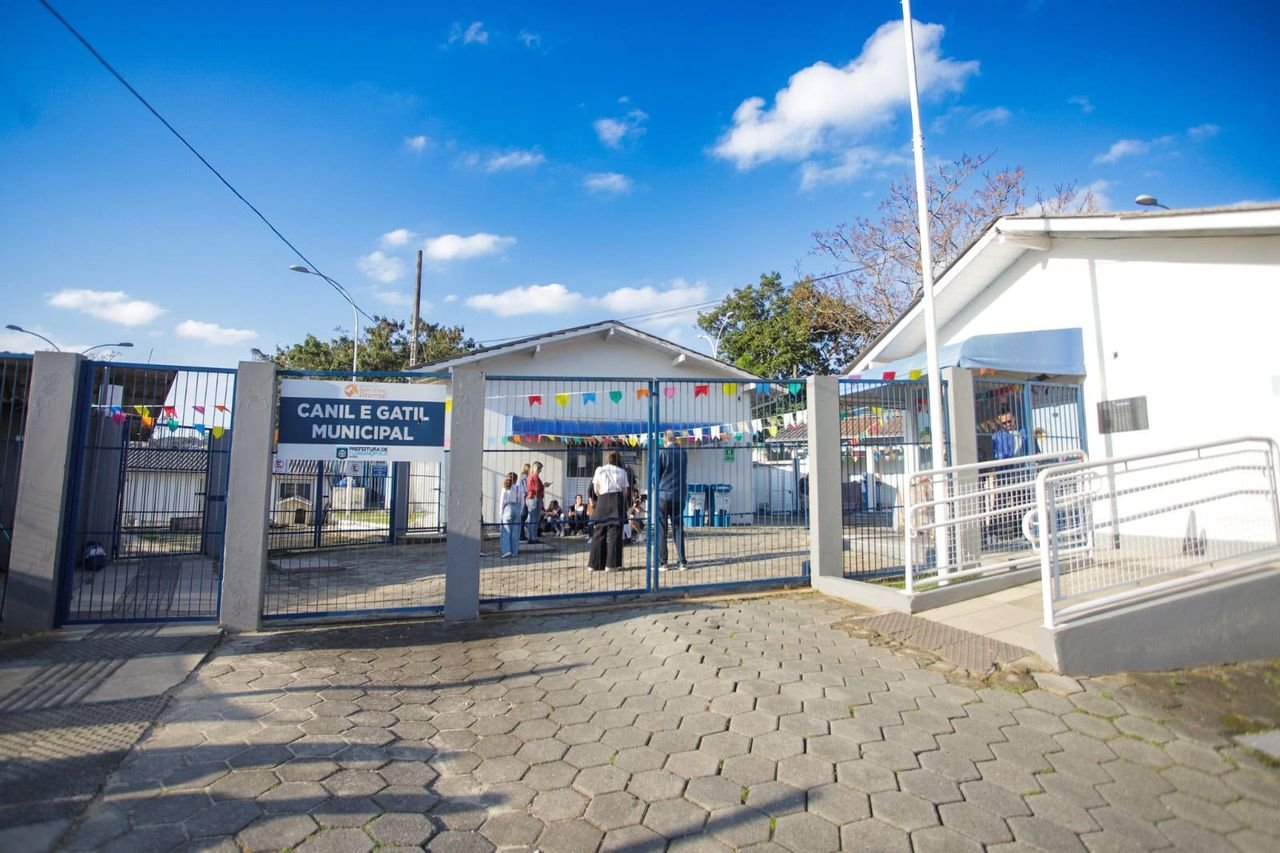Dibea promove Arraiá da Adoção em Florianópolis