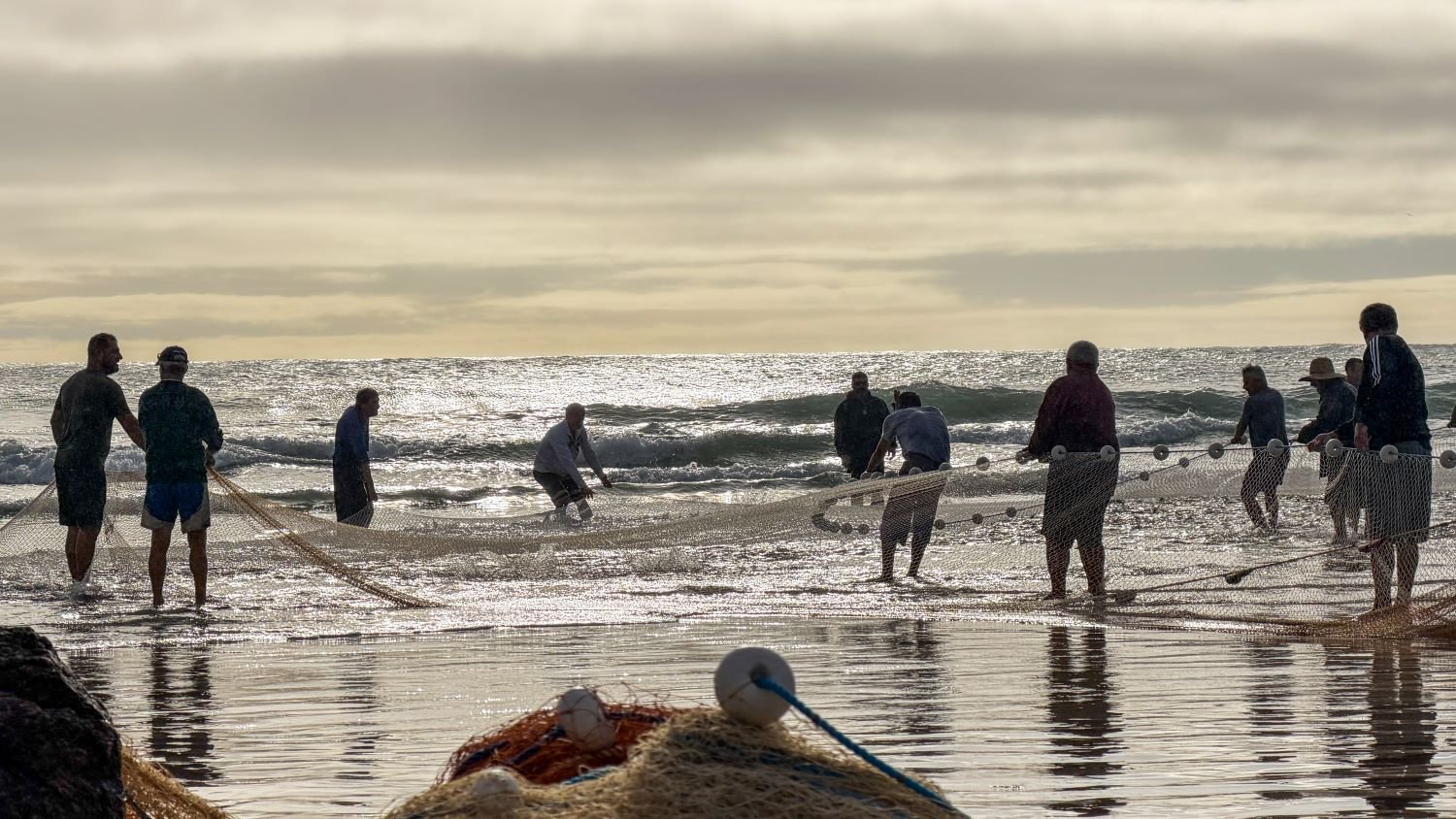 Santa Catarina aciona a Justiça para derrubar cotas da pesca artesanal da tainha - Santa Catarina em Pauta