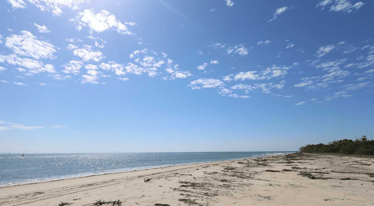 Entenda por que o MPSC questiona o licenciamento do porto projetado para a Praia do Sumidouro - Santa Catarina em Pauta