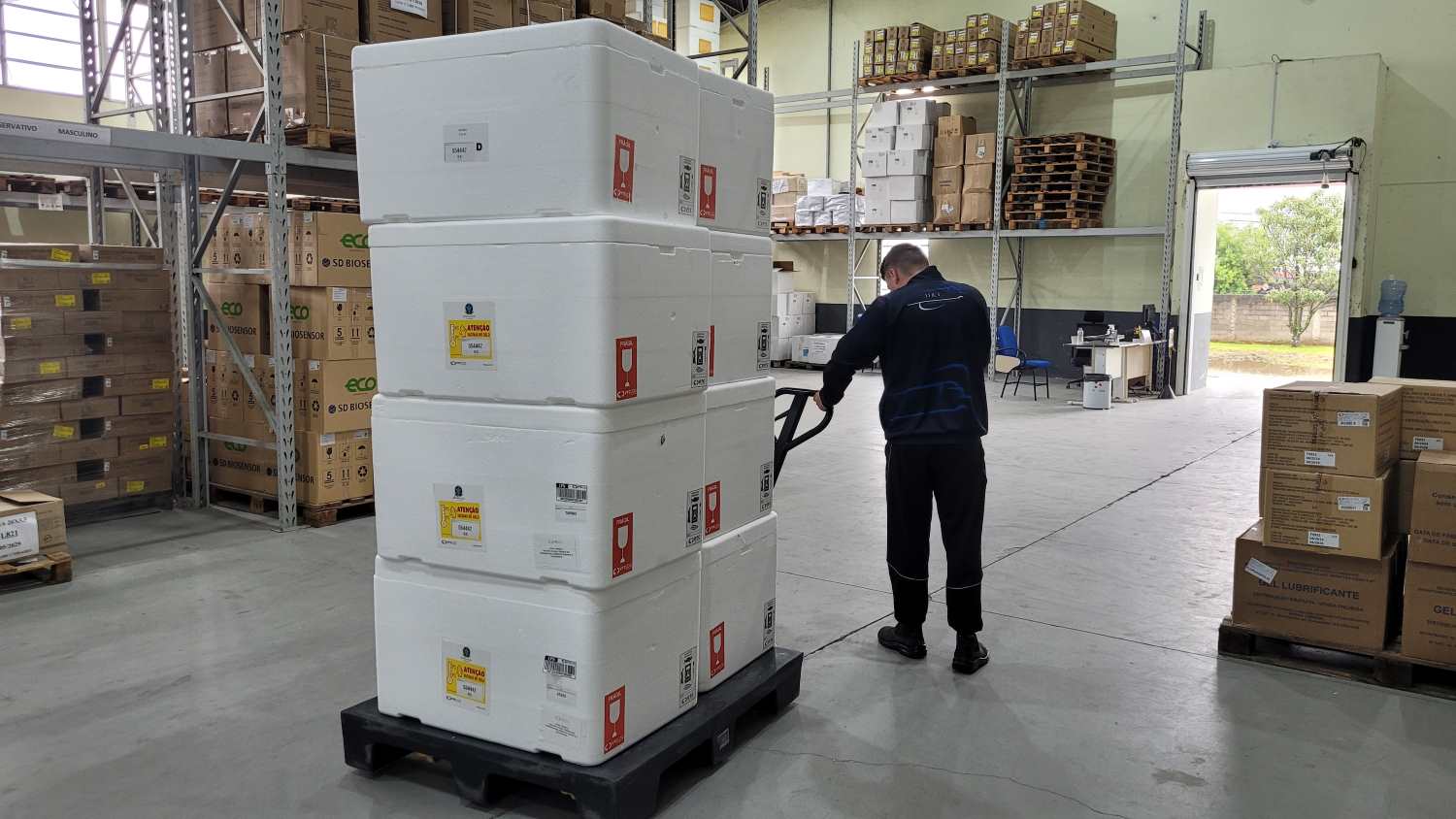 Santa Catarina distribui mais 304 mil doses da vacina contra a gripe para os municípios - Santa Catarina em Pauta