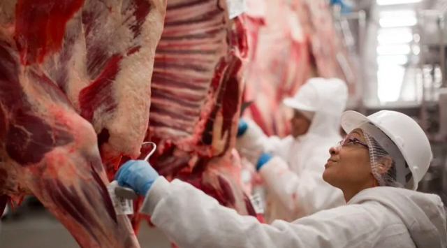 Governo tenta reverter decisão da União Europeia que proíbe importação da carne brasileira