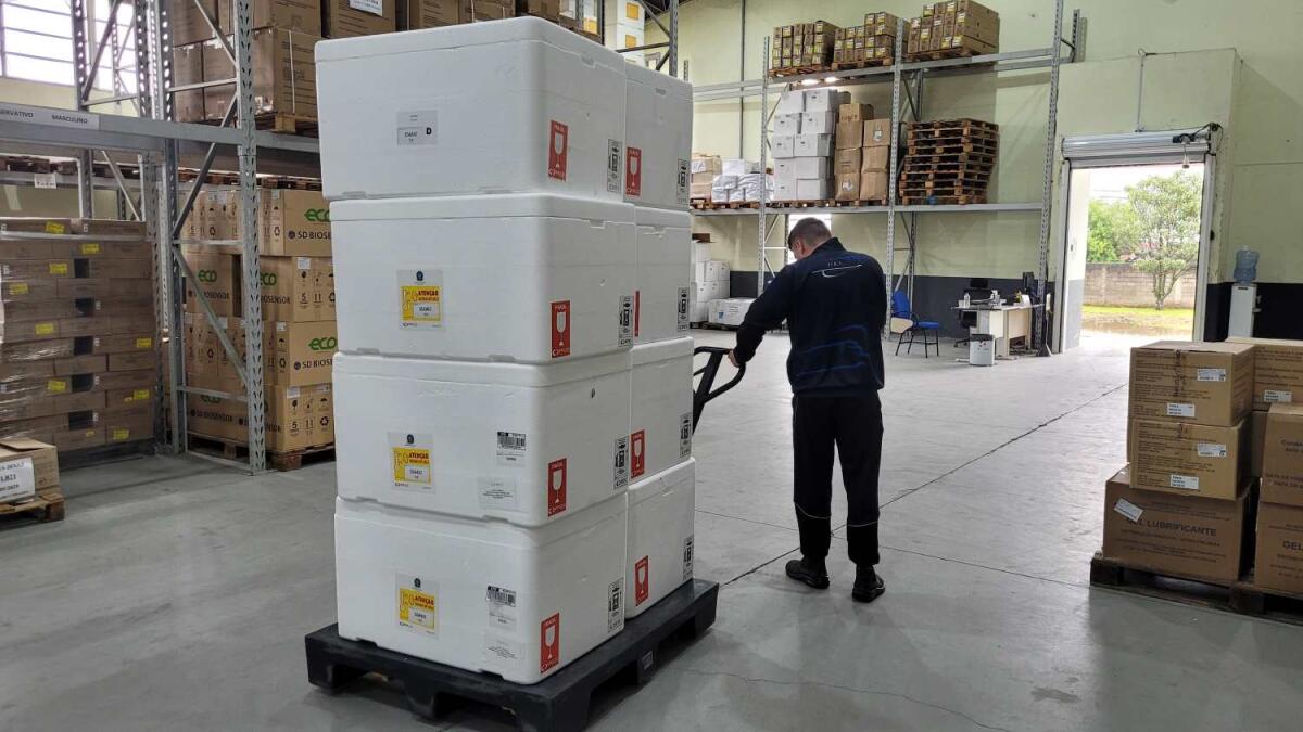 Santa Catarina inicia distribuição de mais 300 mil de doses e reforça pedido de vacinação contra a gripe