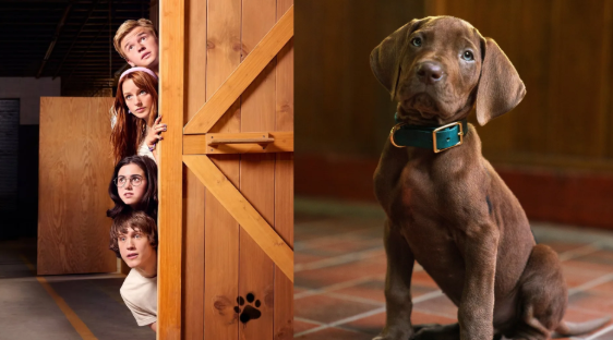 Netflix revela primeira imagem de Scooby-Doo em nova série live-action