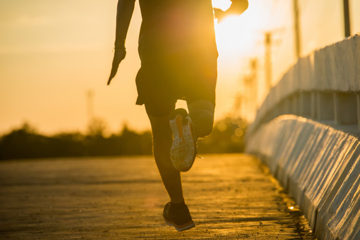 Corrida de aniversário da Guarda Municipal de Palhoça abre inscrições para prova de 5 quilômetros - Santa Catarina em Pauta