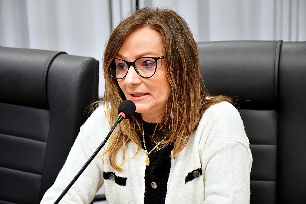 Vereadora solicita estudo para revitalização e melhorias na Avenida Salgado Filho