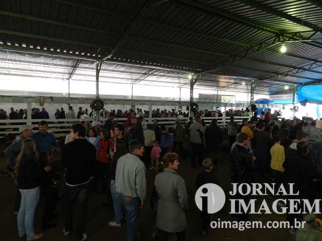 DSCN5623 (Cópia).JPG