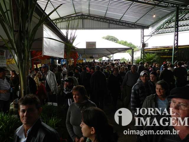 DSCN5642 (Cópia).JPG