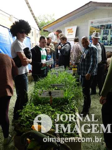 DSCN5643 (Cópia).JPG