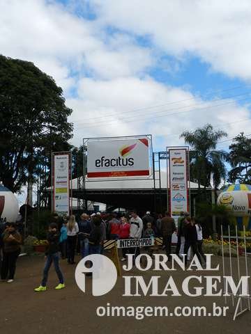 DSCN5692 (Cópia).JPG