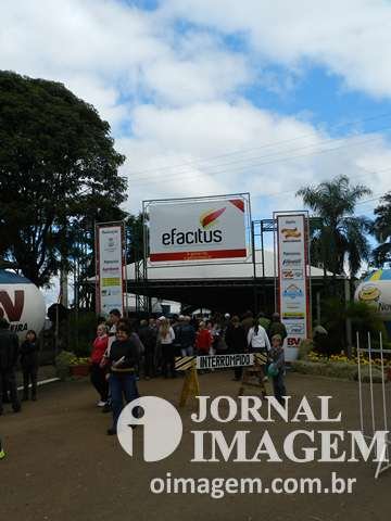 DSCN5693 (Cópia).JPG