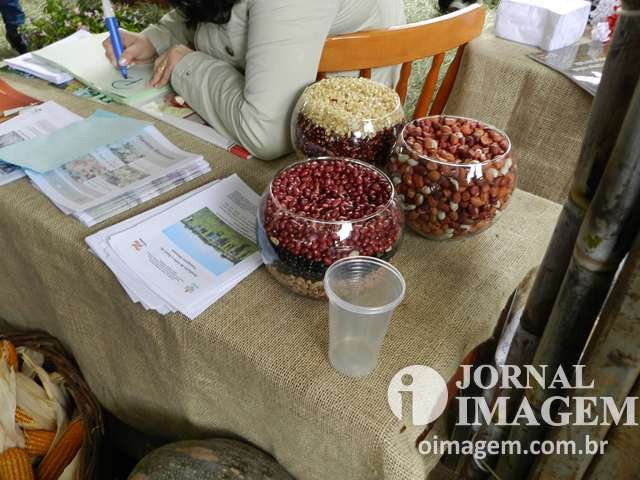 DSCN5706 (Cópia).JPG