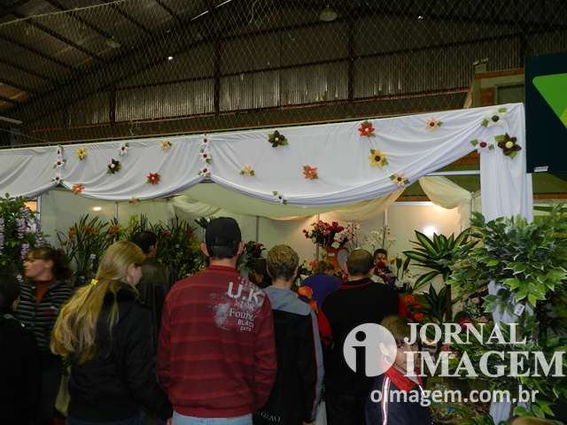 DSCN5715 (Cópia).JPG
