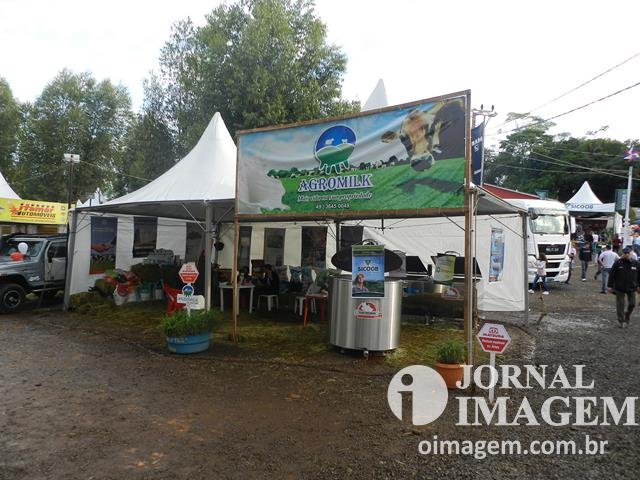 DSCN8316 (Cópia).JPG