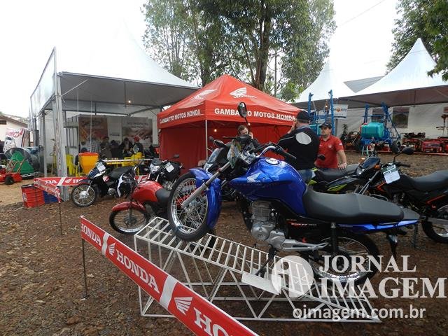 DSCN8325 (Cópia).JPG