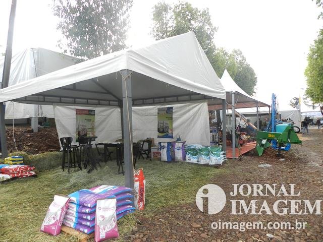 DSCN8334 (Cópia).JPG
