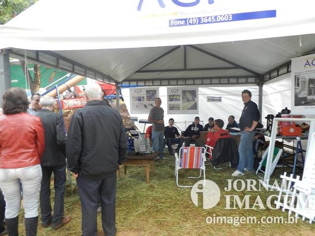DSCN8336 (Cópia).JPG
