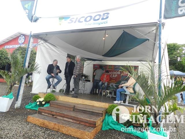DSCN8345 (Cópia).JPG