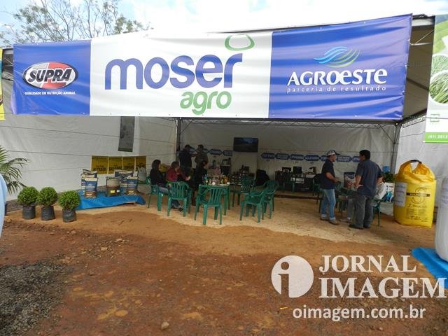 DSCN8351 (Cópia).JPG