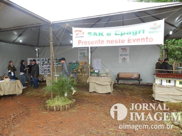 DSCN8357 (Cópia).JPG