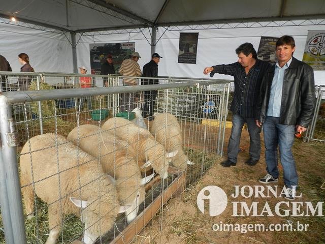 DSCN8371 (Cópia).JPG