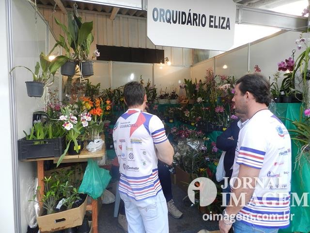 DSCN8387 (Cópia).JPG