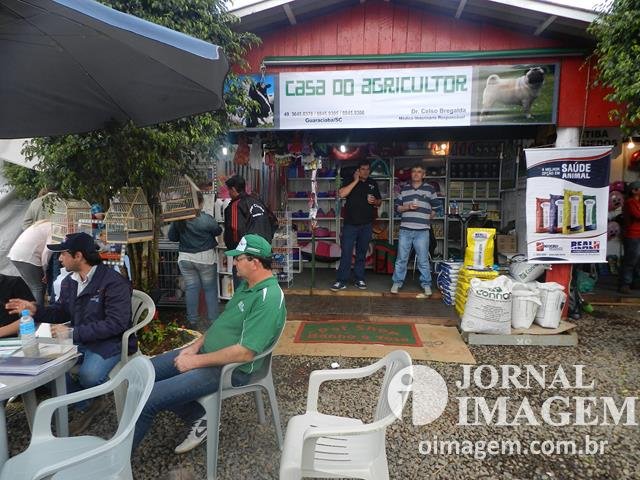 DSCN8395 (Cópia).JPG