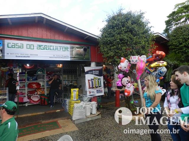 DSCN8398 (Cópia).JPG