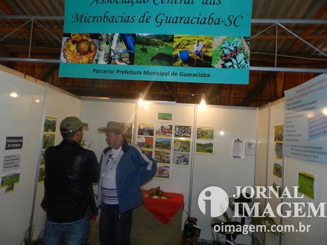 DSCN8446 (Cópia).JPG
