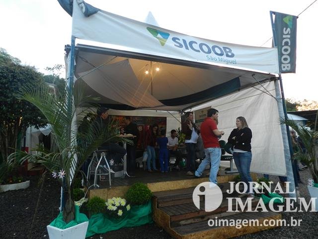 DSCN8489 (Cópia).JPG