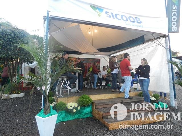 DSCN8490 (Cópia).JPG