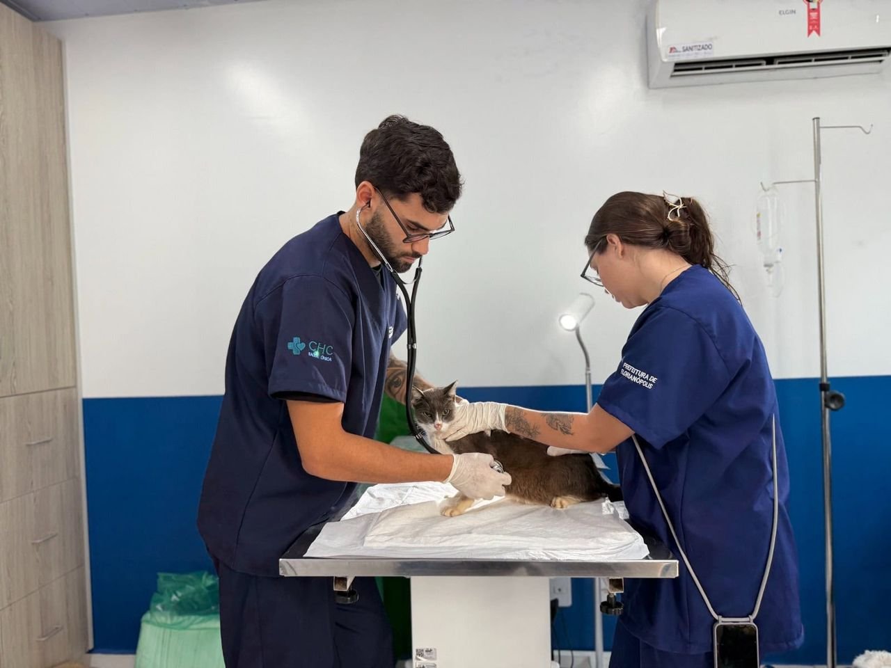 Hospital Veterinário Municipal de Florianópolis supera 40 mil procedimentos em três meses