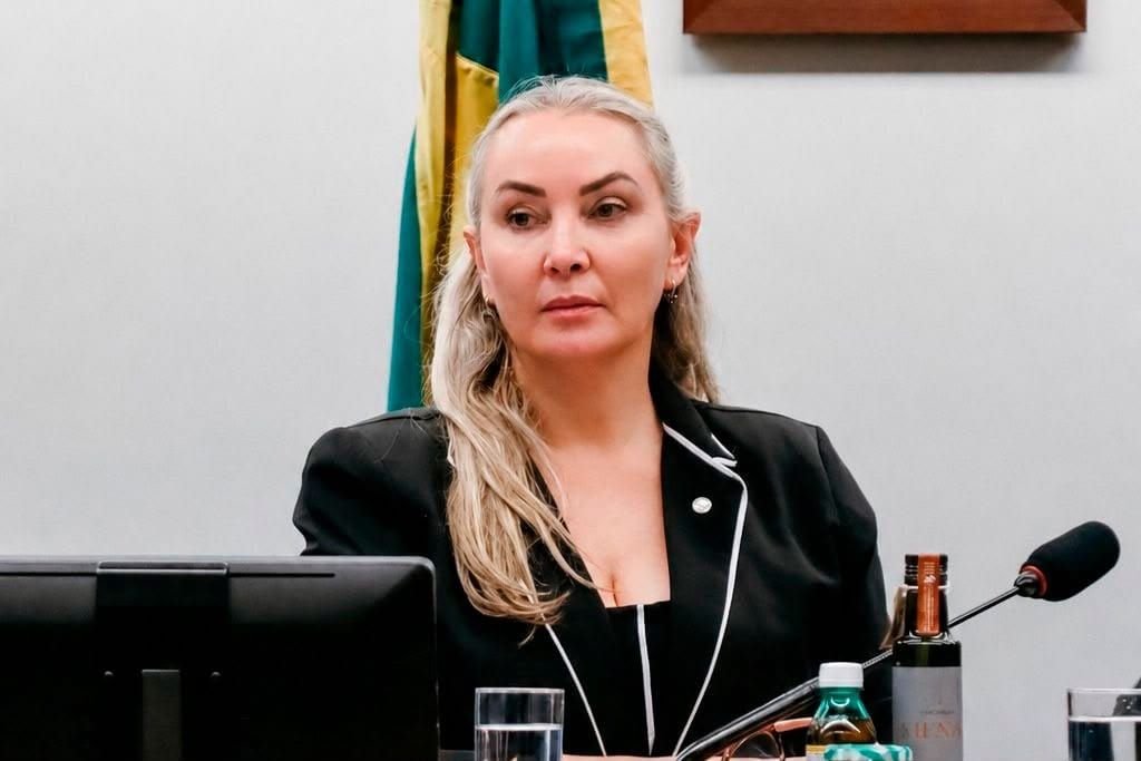 Comissão da Câmara debate regulamentação do balonismo turístico após acidente em SC