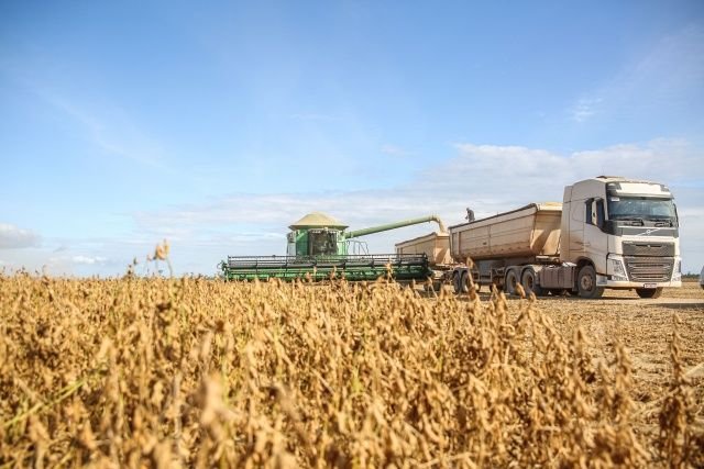 Safra brasileira de grãos deve atingir 360,1 milhões de toneladas em 2025/26, prevê Conab