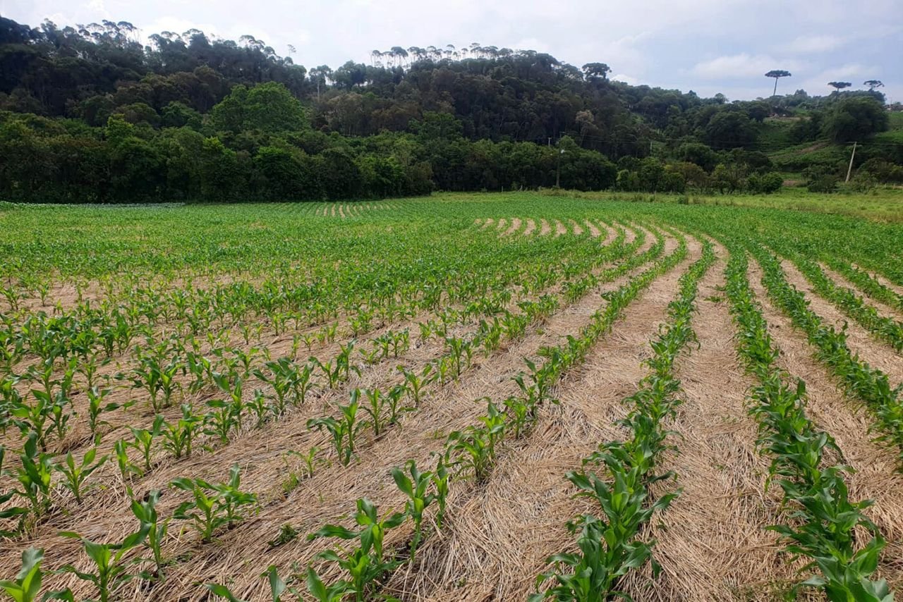 Seminário vai debater agricultura conservacionista e rentabilidade no campo em Santa Helena
