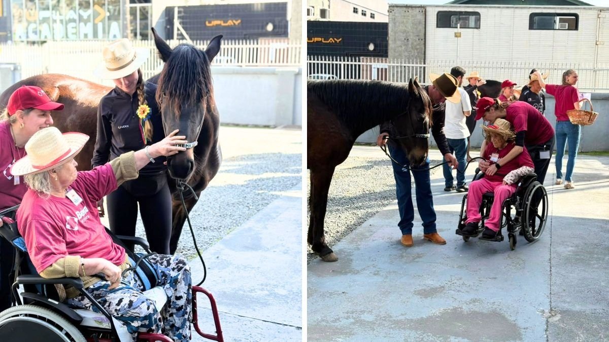 Cavalos levam emoção e ajudam na terapia de idosos em lar de Joinville