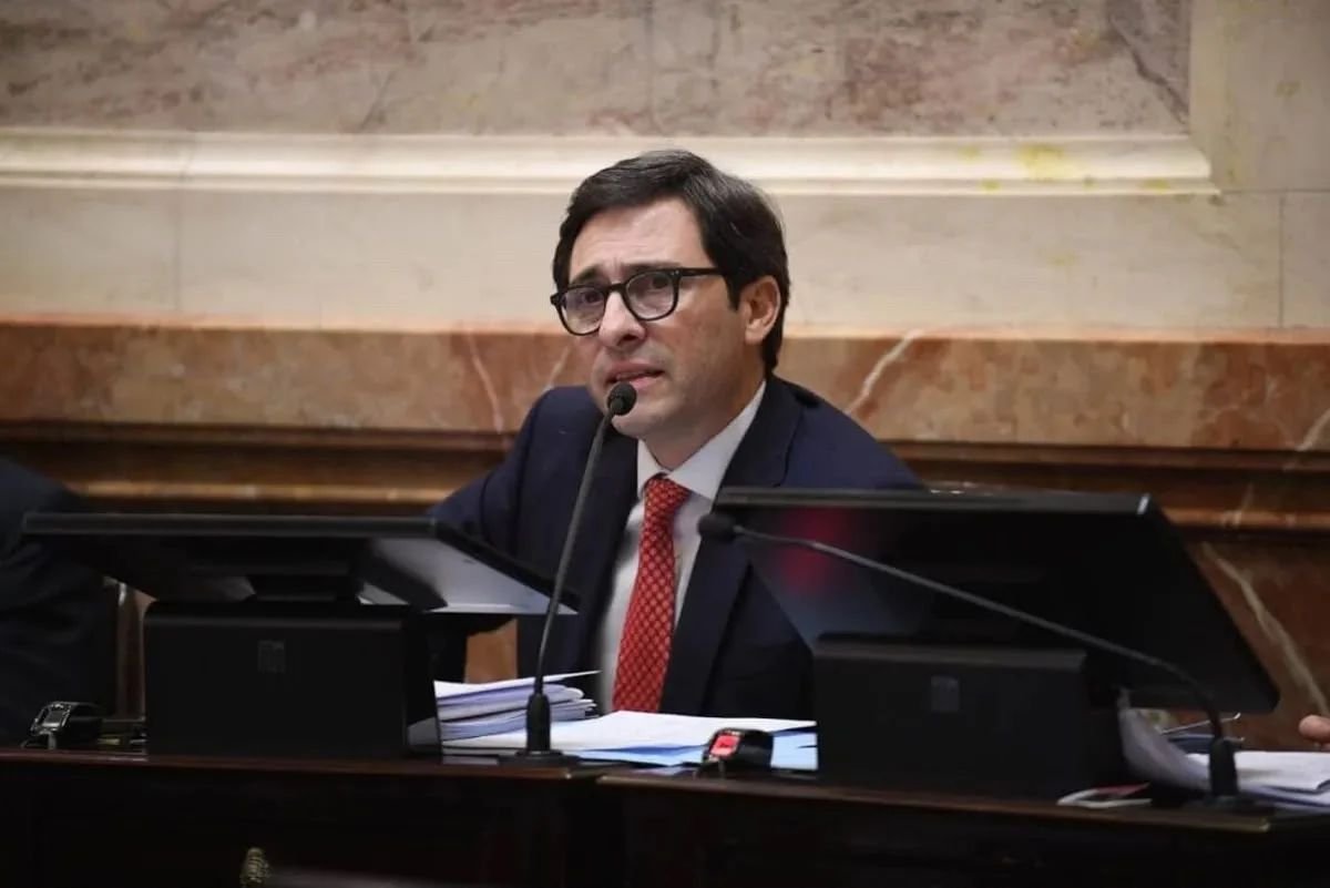 Goerling defendió el proyecto para eliminar el límite a la compra de tierras por extranjeros y cuestionó a intendentes de Misiones
