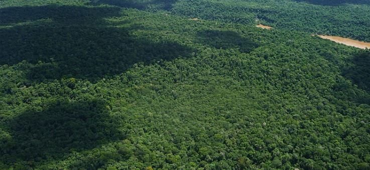Advierten que la extranjerización de tierras pone en riesgo el Acuífero Guaraní, una de las mayores reservas de agua dulce del mundo que se extiende bajo Misiones
