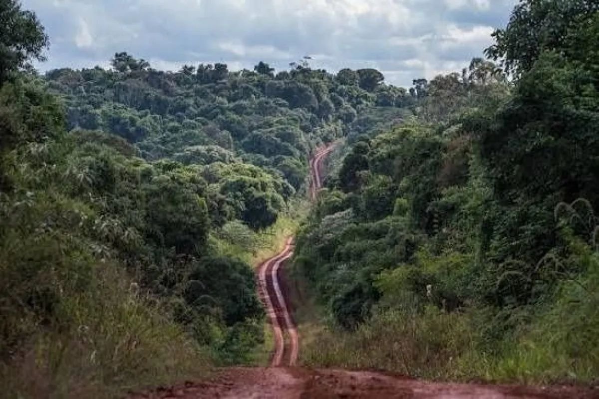 Rechazo generalizado en Misiones a la extranjerización de tierras y pedidos a senadores
