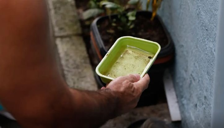 El Niño pode favorecer aumento da dengue e da chikungunya no Brasil, alerta Ministério da Saúde