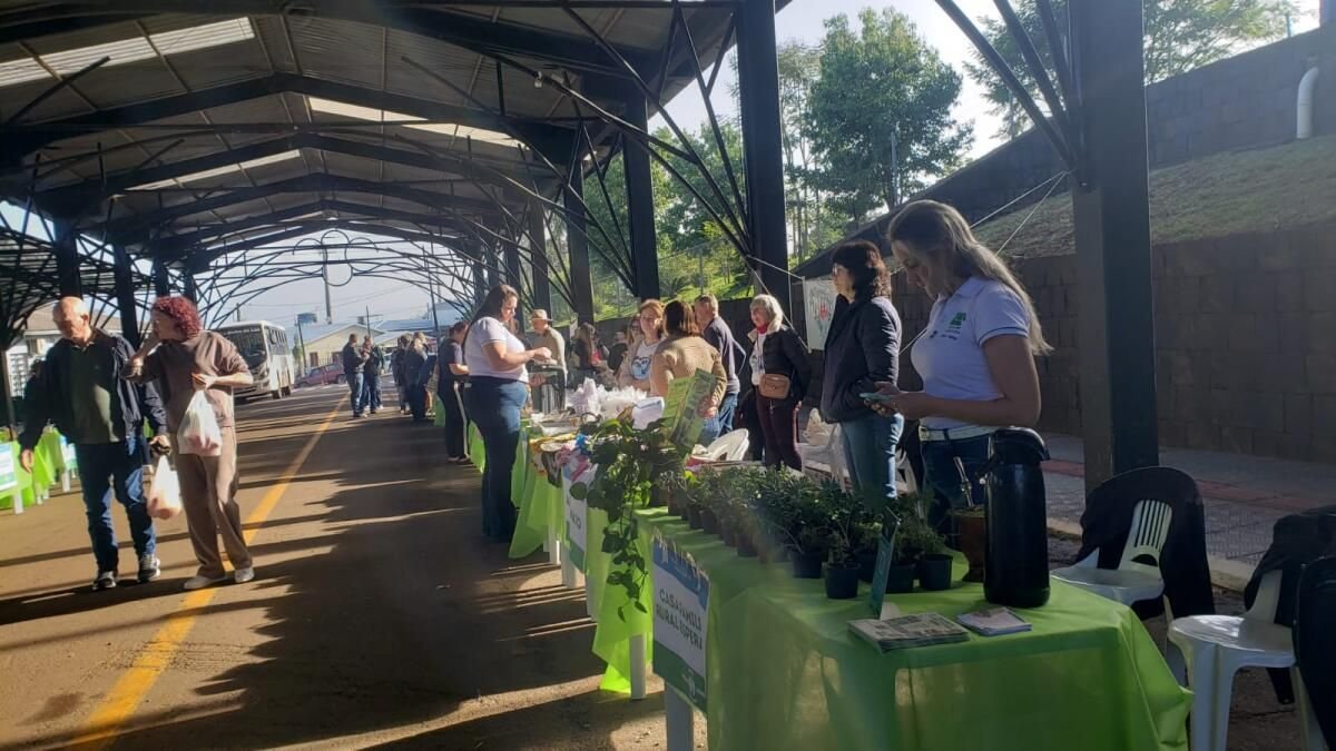 Dia do Colono e do Motorista é comemorado com Feira e Benção de Carros em Iporã do Oeste