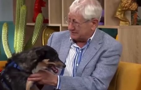 Idoso emociona ao se despedir do cachorro por não conseguir mais cuidar dele