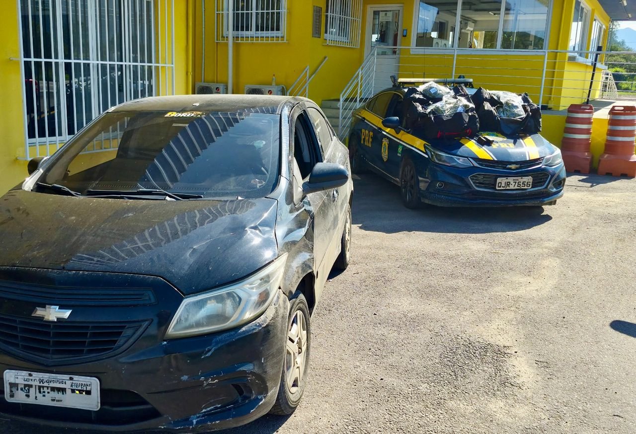 PRF apreende 24 quilos de skunk em SC; droga saiu do Uruguai e seguiria para o Paraná