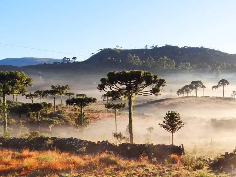 Previsão de temporais e frio em Santa Catarina nos próximos dias