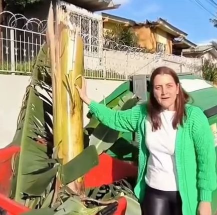 Gerente de Resíduos de Chapecó alerta sobre descarte irregular de bananeira