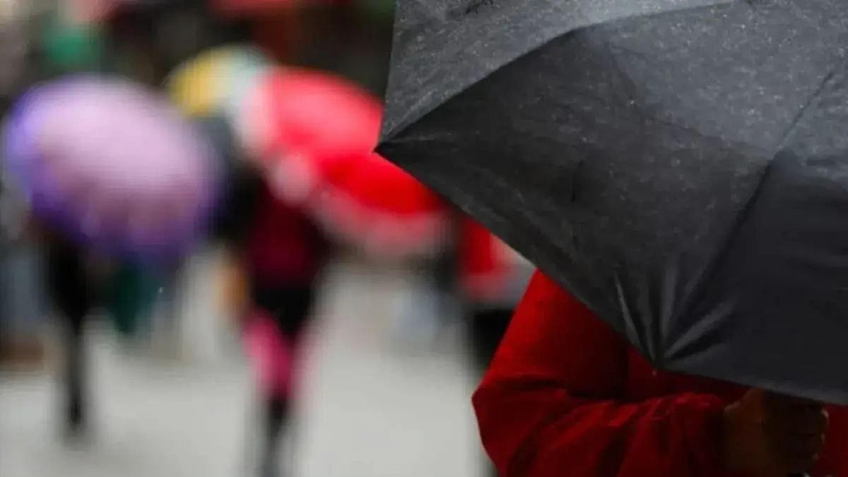El Niño pode ser um dos mais intensos das últimas décadas e preocupa Santa Catarina
