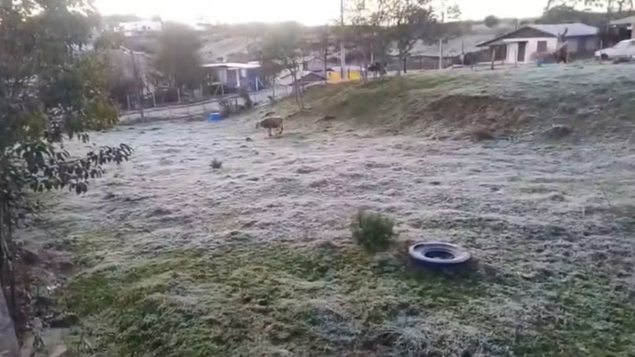 Ar polar provoca mínimas negativas no Rio Grande do Sul nesta segunda-feira